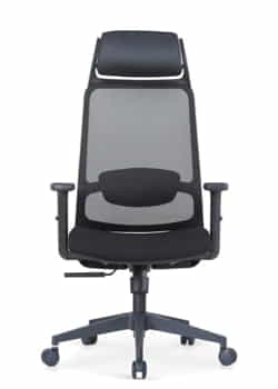 Executive Mesh Chairs